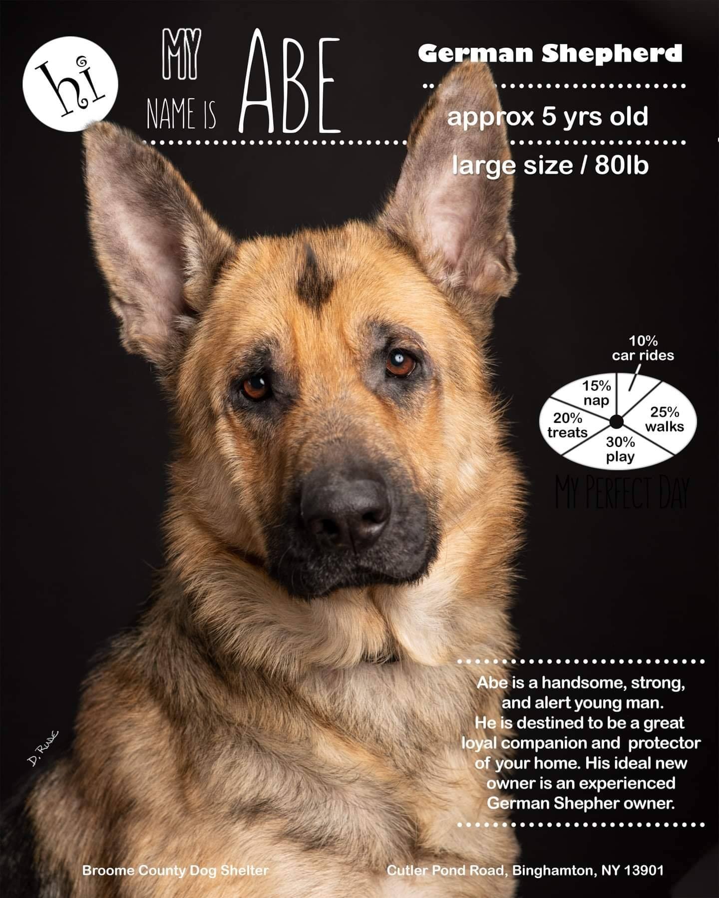 Broome County Dog Shelter’s Hockey Night with the Binghamton Devils